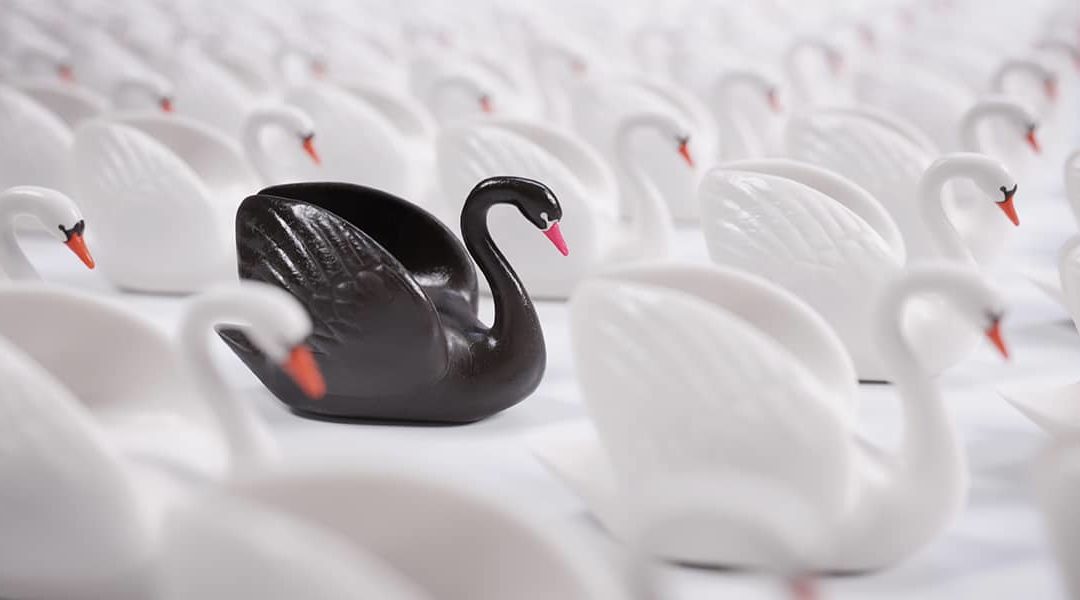 Le concept de cygne noir : la puissance de l&rsquo;imprévisible