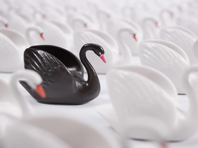 Le concept de cygne noir : la puissance de l&rsquo;imprévisible
